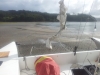 20120830_105434